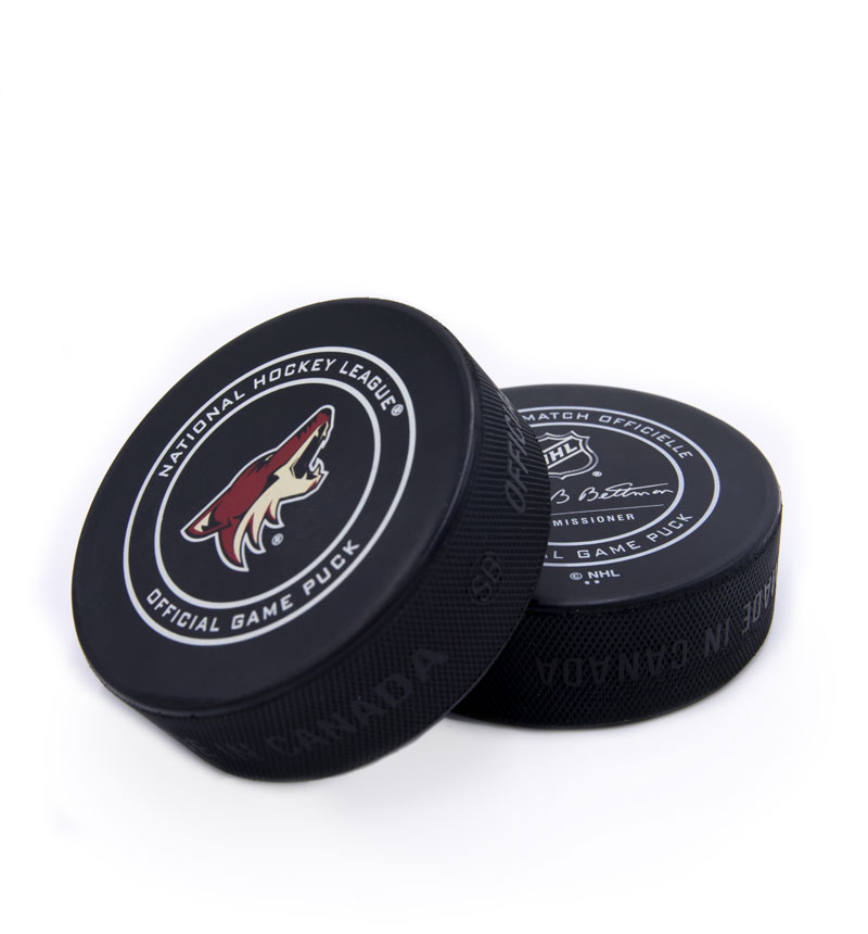 pucks used in the environmental design
