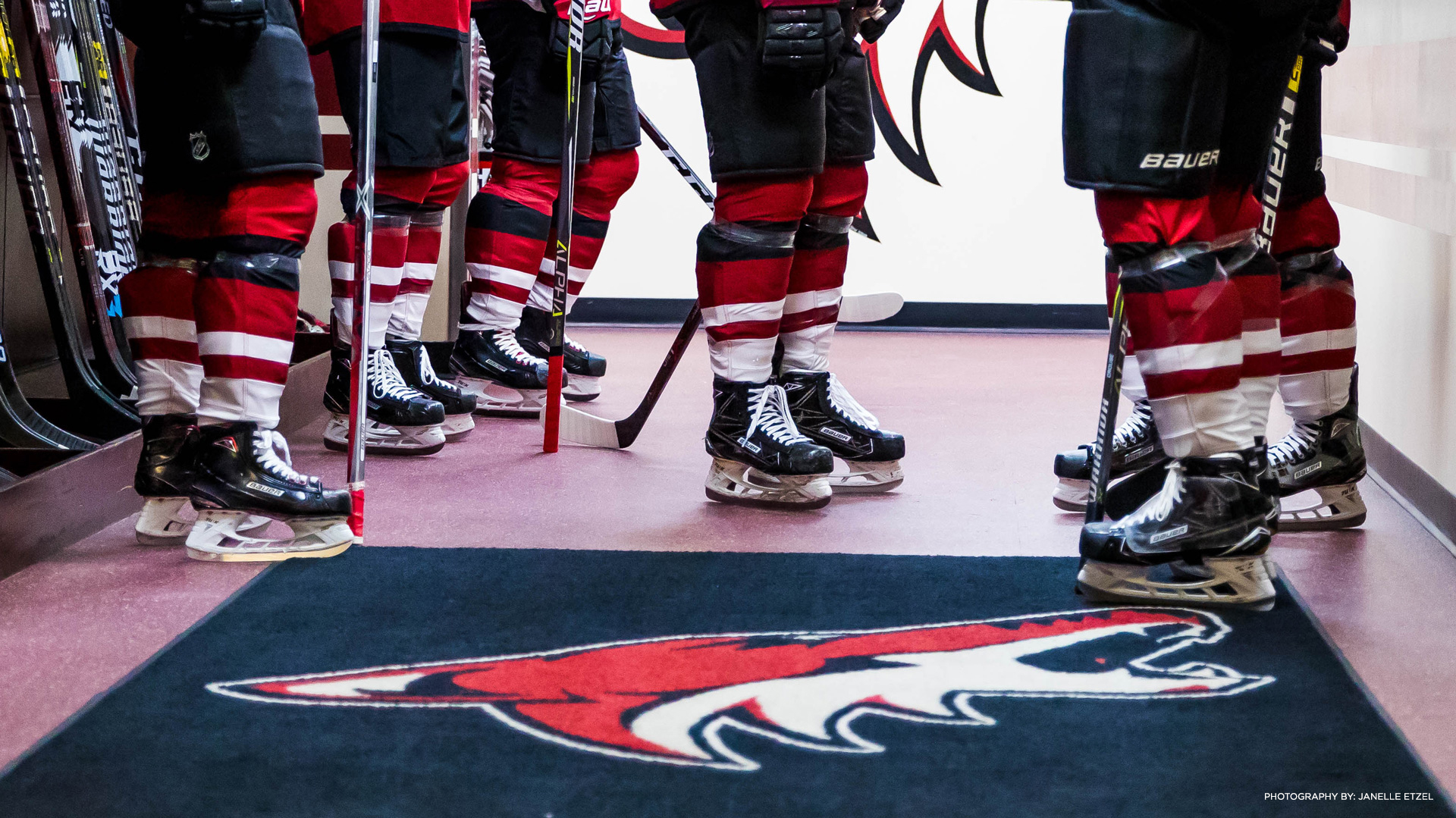 Arizona Coyotes Skates